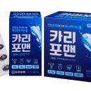 카리 이미지