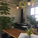 부부세차장 이미지