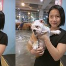 퍼피마마 이미지