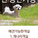 풀빛둥지펜션 이미지