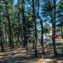 장사솔밭펜션 이미지