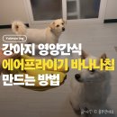 강아지를 부탁해 | 강아지 바나나 먹어도 될까? 에어프라이어 바나나칩 만들기 후기
