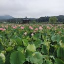 함안소갈비찜 이미지