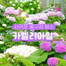 카멜리아캐슬 | 서귀포 가볼만한곳 제주 카멜리아힐 5월 꽃구경 입장권 할인