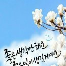 대정농협하나로마트 이미지
