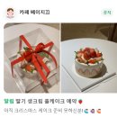 베이지끄 이미지