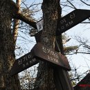 신원과정삼거리 이미지