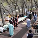 제32회 여수영취산진달래축제 이미지