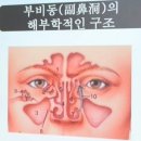 코숨한의원네트워크