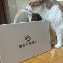맑은한약국 네이버블로그