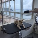 구르미살롱 이미지