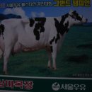 삼마목장 이미지