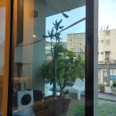 폭스coffee