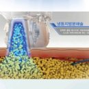 브이친코리아 이미지