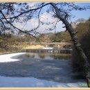 흐르는 강물을 바라 이미지