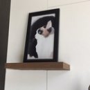 메디그릿 이미지