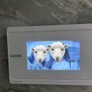 오동동104 | June of 2024