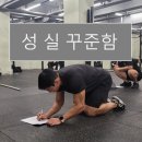 써트짐 이미지