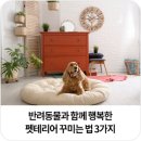 행복홈인테리어 이미지