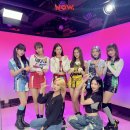 다이브나우