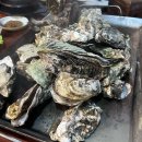 참빛생굴구이 이미지