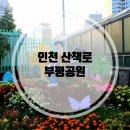 부흥공원 게이트볼장 | 인천 산책로 가볍게 둘러보기 좋은 부평공원