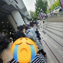 크록스뉴코아 | 뉴발란스 프리들x 일산 뉴코아 오픈런부터 사이즈 팁까지