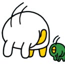 껍데지 네이버블로그