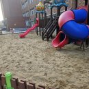 구미초등 병설 | 경북 구미시 00초등학교 병설유치원 모래소독 작업후기