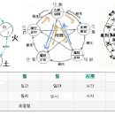 동의명학 일간분석기본 제5장 종격 從格 八字預測真蹤 *종강(2종) 국회(전왕5종) 종약(3종) 종과부종 이미지