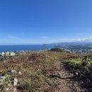 산림조합중앙회 동부목재사업본부 | 동해시 오학산과 봉화대산