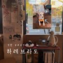 성환1로 | 천안 카페 | 성환역근처 조용한카페 | 일본 감성 강아지 상주카페 | 하레브라도 Harebrador 후기