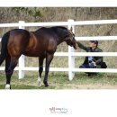 장수온천호텔 이미지