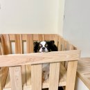 하대동198 | 진주 속눈썹 엘리뷰티크 가오픈 임박!(1인 뷰티샵 창업 준비과정)