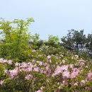 영주삼거리1 이미지