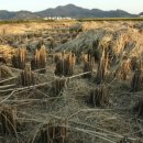 덕용농장 이미지