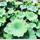 충주자연생태체험관 이미지