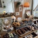 소보리애 이미지