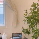 그루밍공방 이미지