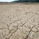 풍전통상 이미지