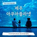 마이바당 | 제주 서귀포 가볼만한곳 아쿠아플라넷 아이랑 예약 관람팁
