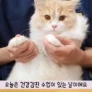 학원목장 이미지