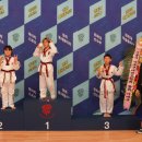 라이온스태권도 이미지