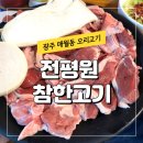 고기한판 | 광주 매월동 맛집 전평원 참한고기 오리고기한판 후기