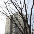공무원아파트 Daum카페
