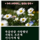 미밀