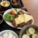 키친 갈매기 이미지