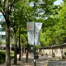 《에드워드 호퍼 : 길 위에서》 전시 리뷰 ┃도시와 시골을 오가며 덤덤히 자기만의 인상을 그리는 작가...