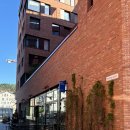 [엄마랑 노르웨이 여행] 오슬로 Koie 라멘 맛집 / 뭉크 미술관 꼭 알고 가야 꿀팁! 무료 티켓. 솔직후기