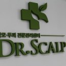 닥터스칼프목동점